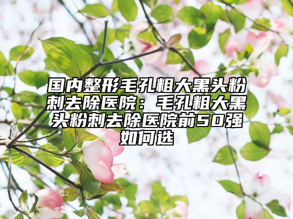 國內(nèi)整形毛孔粗大黑頭粉刺去除醫(yī)院：毛孔粗大黑頭粉刺去除醫(yī)院前50強如何選
