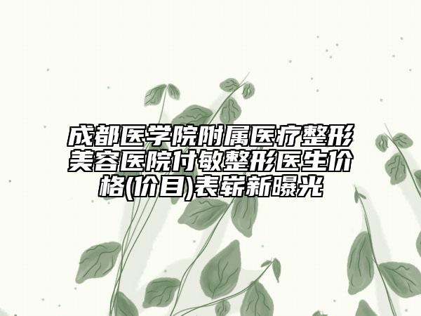 成都醫(yī)學(xué)院附屬醫(yī)療整形美容醫(yī)院付敏整形醫(yī)生價格(價目)表嶄新曝光