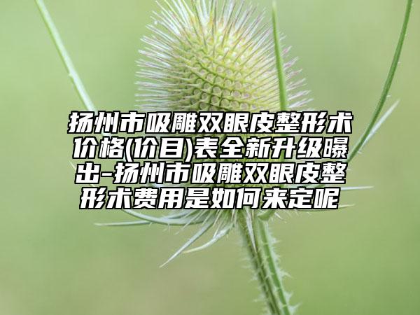 揚(yáng)州市吸雕雙眼皮整形術(shù)價格(價目)表全新升級曝出-揚(yáng)州市吸雕雙眼皮整形術(shù)費(fèi)用是如何來定呢
