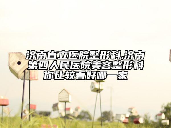 濟南省立醫(yī)院整形科,濟南第四人民醫(yī)院美容整形科你比較看好哪一家