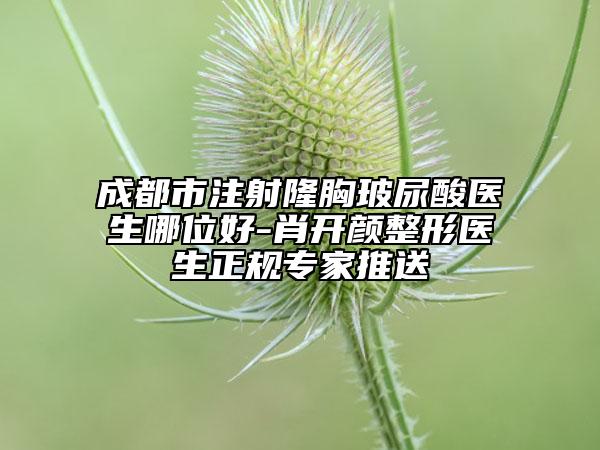 成都市注射隆胸玻尿酸醫(yī)生哪位好-肖開顏整形醫(yī)生正規(guī)專家推送