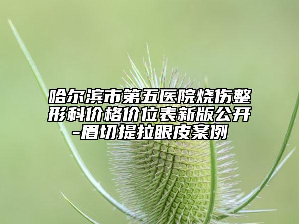 哈爾濱市第五醫(yī)院燒傷整形科價(jià)格價(jià)位表新版公開-眉切提拉眼皮案例
