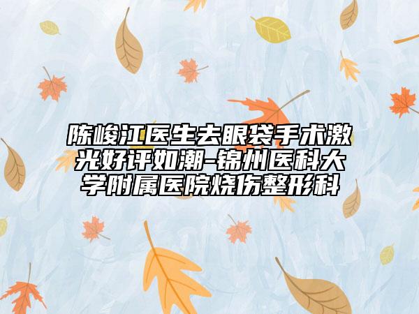 陳峻江醫(yī)生去眼袋手術(shù)激光好評(píng)如潮-錦州醫(yī)科大學(xué)附屬醫(yī)院燒傷整形科