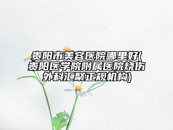 貴陽(yáng)市美容醫(yī)院哪里好(貴陽(yáng)醫(yī)學(xué)院附屬醫(yī)院燒傷外科匯聚正規(guī)機(jī)構(gòu))