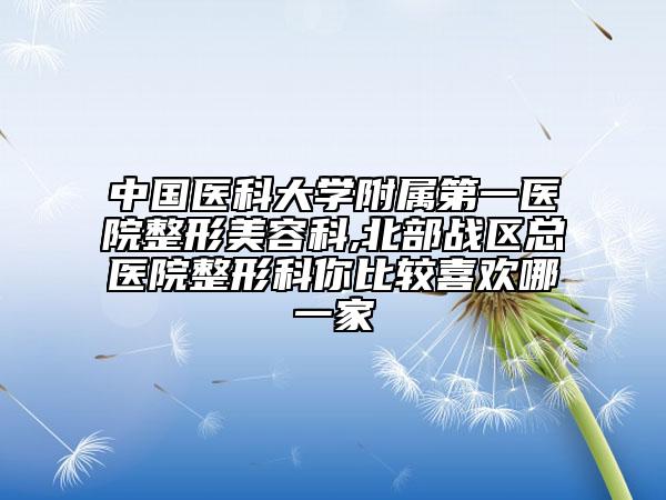 中國(guó)醫(yī)科大學(xué)附屬第一醫(yī)院整形美容科,北部戰(zhàn)區(qū)總醫(yī)院整形科你比較喜歡哪一家