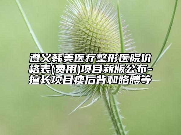 遵義韓美醫(yī)療整形醫(yī)院價格表(費用)項目新版公布-擅長項目瘦后背和胳膊等