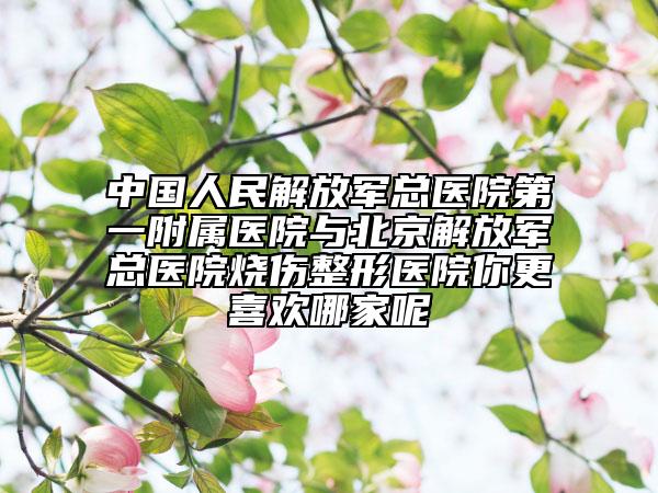 中國人民解放軍總醫(yī)院第一附屬醫(yī)院與北京解放軍總醫(yī)院燒傷整形醫(yī)院你更喜歡哪家呢
