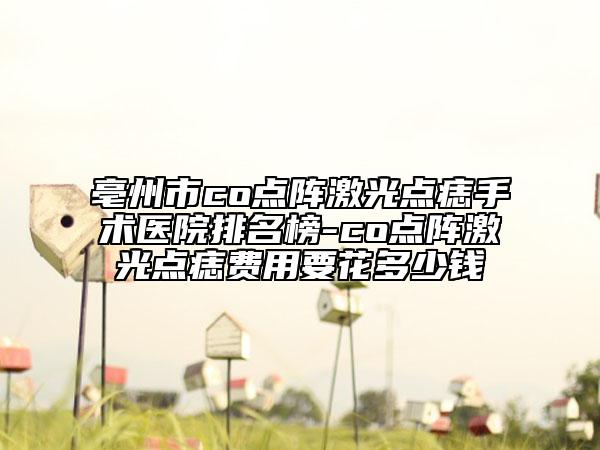 亳州市co點陣激光點痣手術醫(yī)院排名榜-co點陣激光點痣費用要花多少錢