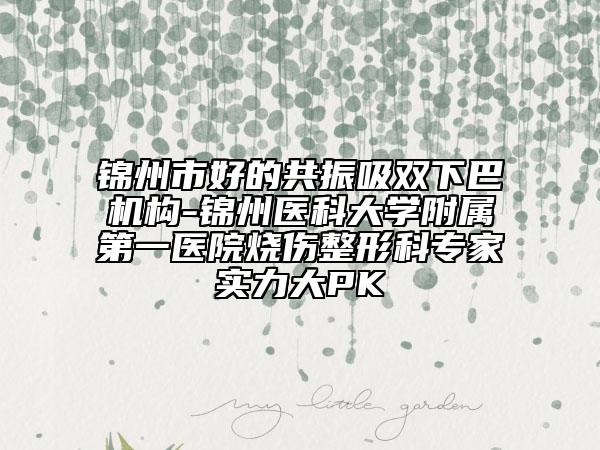 錦州市好的共振吸雙下巴機(jī)構(gòu)-錦州醫(yī)科大學(xué)附屬第一醫(yī)院燒傷整形科專家實力大PK