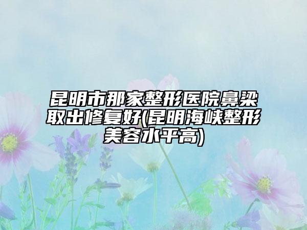昆明市那家整形醫(yī)院鼻梁取出修復好(昆明海峽整形美容水平高)