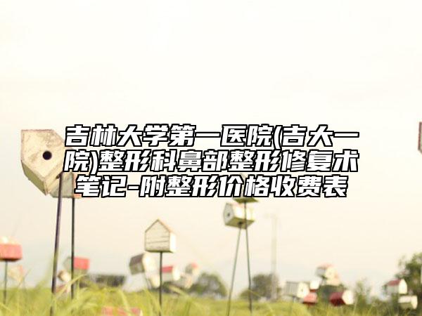 吉林大學(xué)第一醫(yī)院(吉大一院)整形科鼻部整形修復(fù)術(shù)筆記-附整形價(jià)格收費(fèi)表