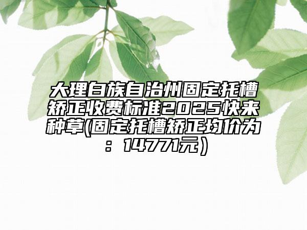 大理白族自治州固定托槽矯正收費(fèi)標(biāo)準(zhǔn)2025快來種草(固定托槽矯正均價(jià)為：14771元）