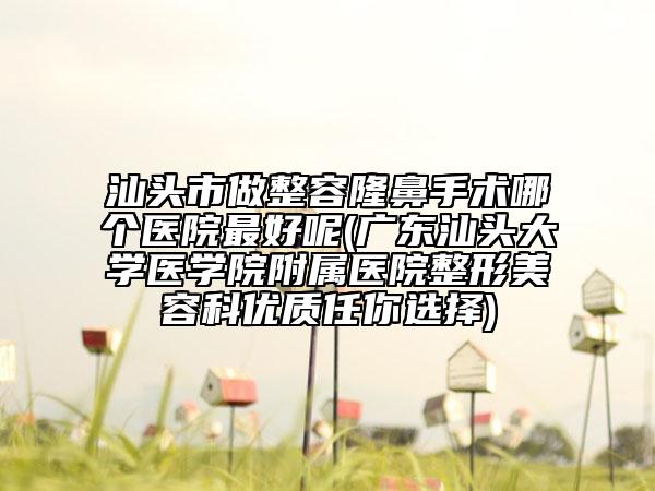 汕頭市做整容隆鼻手術(shù)哪個(gè)醫(yī)院最好呢(廣東汕頭大學(xué)醫(yī)學(xué)院附屬醫(yī)院整形美容科優(yōu)質(zhì)任你選擇)