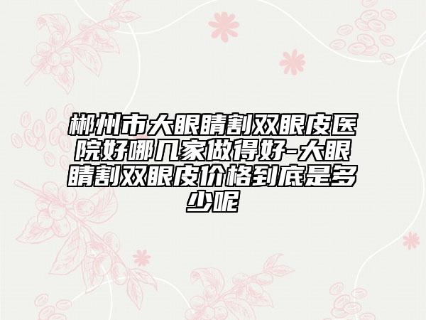 郴州市大眼睛割雙眼皮醫(yī)院好哪幾家做得好-大眼睛割雙眼皮價格到底是多少呢