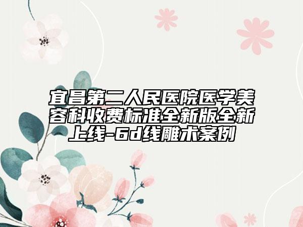 宜昌第二人民醫(yī)院醫(yī)學(xué)美容科收費(fèi)標(biāo)準(zhǔn)全新版全新上線-6d線雕術(shù)案例