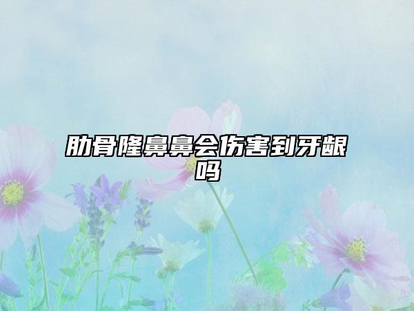 肋骨隆鼻鼻會(huì)傷害到牙齦嗎