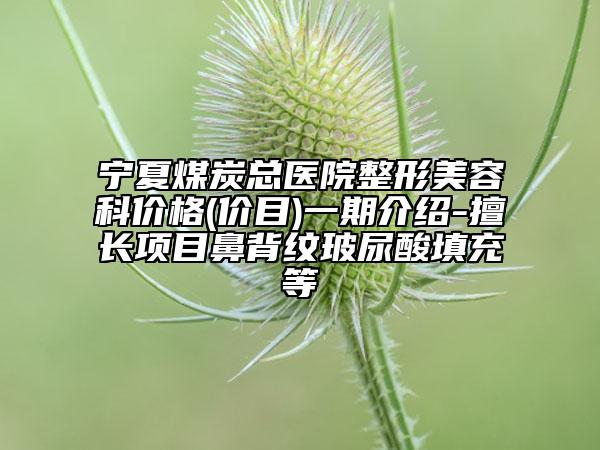 寧夏煤炭總醫(yī)院整形美容科價格(價目)一期介紹-擅長項目鼻背紋玻尿酸填充等