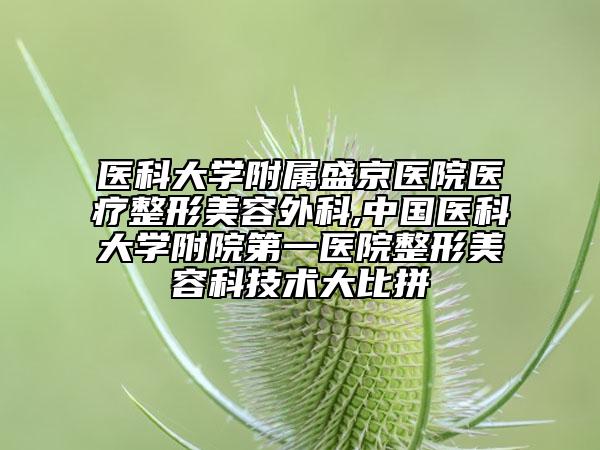 醫(yī)科大學(xué)附屬盛京醫(yī)院醫(yī)療整形美容外科,中國醫(yī)科大學(xué)附院第一醫(yī)院整形美容科技術(shù)大比拼