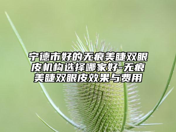 寧德市好的無痕美睫雙眼皮機(jī)構(gòu)選擇哪家好-無痕美睫雙眼皮效果與費(fèi)用