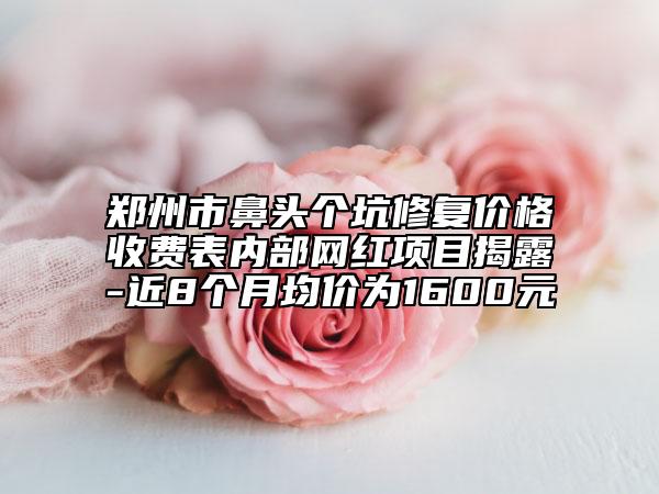 鄭州市鼻頭個(gè)坑修復(fù)價(jià)格收費(fèi)表內(nèi)部網(wǎng)紅項(xiàng)目揭露-近8個(gè)月均價(jià)為1600元