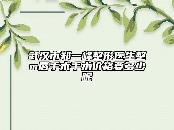 武漢市鄭一峰整形醫(yī)生整m唇手術(shù)手術(shù)價(jià)格要多少呢