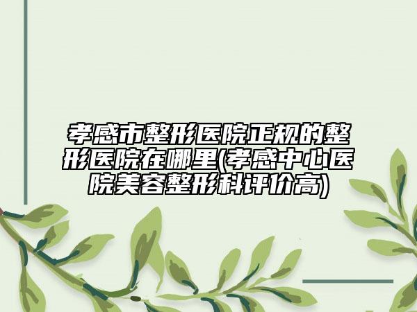 孝感市整形醫(yī)院正規(guī)的整形醫(yī)院在哪里(孝感中心醫(yī)院美容整形科評(píng)價(jià)高)