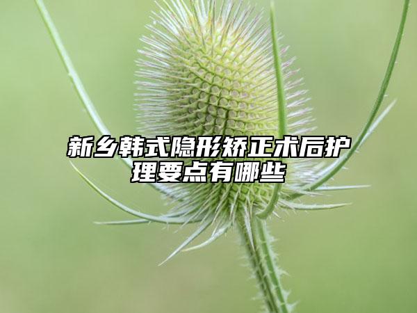 新鄉(xiāng)韓式隱形矯正術(shù)后護(hù)理要點(diǎn)有哪些