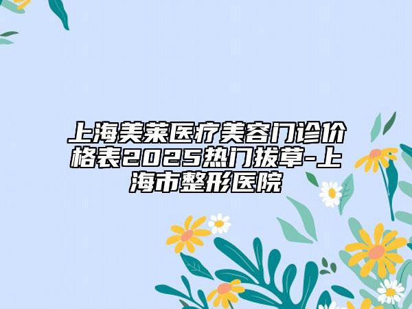 上海美萊醫(yī)療美容門診價(jià)格表2025熱門拔草-上海市整形醫(yī)院